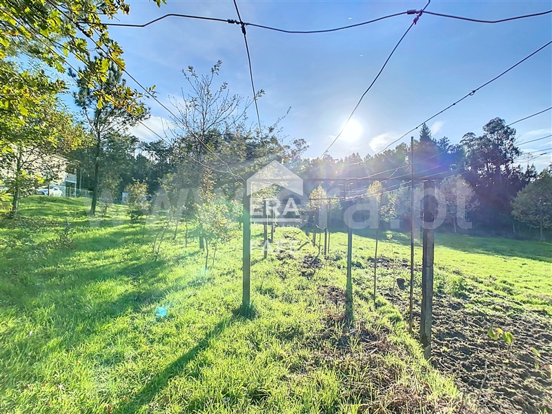 Terreno  Celorico de Basto, Rego - 1444419 - 9