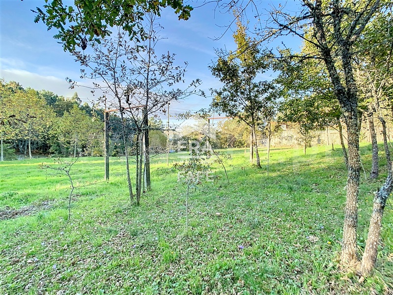 Terreno  Celorico de Basto, Rego - 1444419 - 10