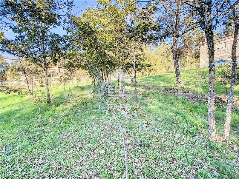 Terreno  Celorico de Basto, Rego - 1444419 - 11