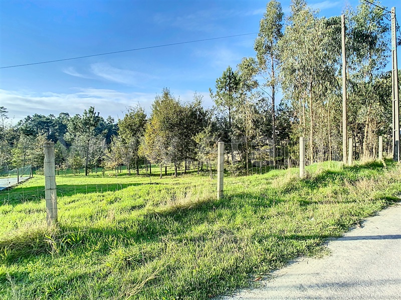 Terreno / Celorico de Basto, Rego