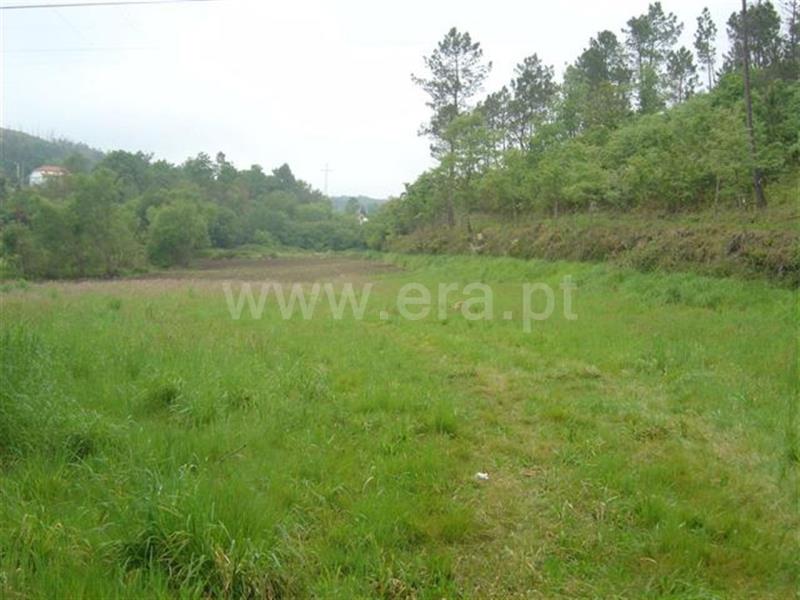 Terreno  Celorico de Basto, Rego - 522500 - 5
