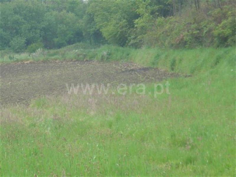 Terreno / Celorico de Basto, Rego