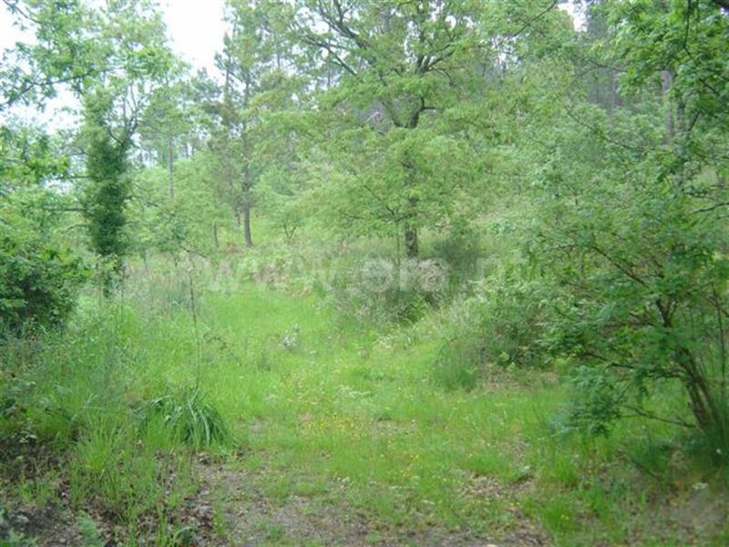 Terreno  Celorico de Basto, Rego - 522500 - 4