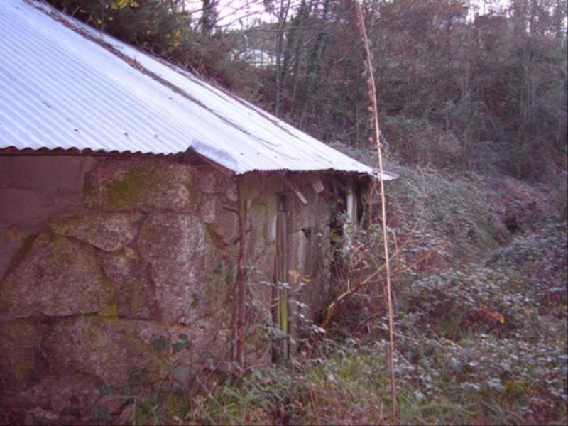 Terreno / Celorico de Basto, Ribas