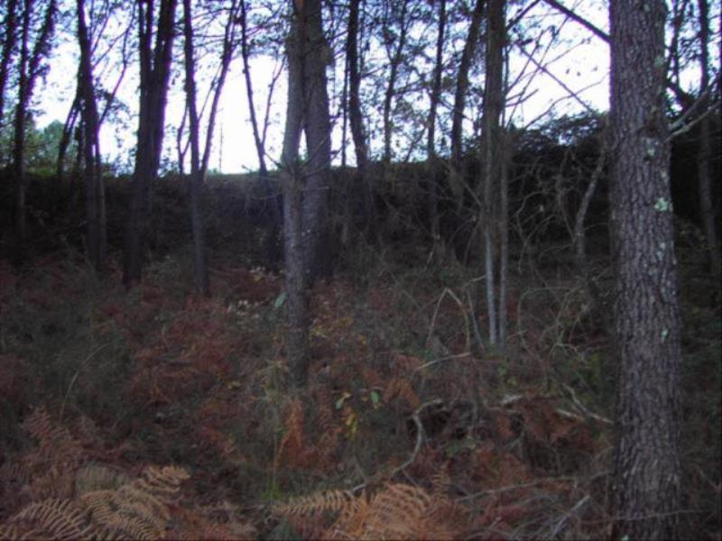 Terreno  Celorico de Basto, Ribas - 103477 - 3