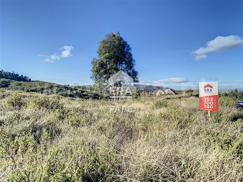 Terreno / Celorico de Basto, Vale de Bouro