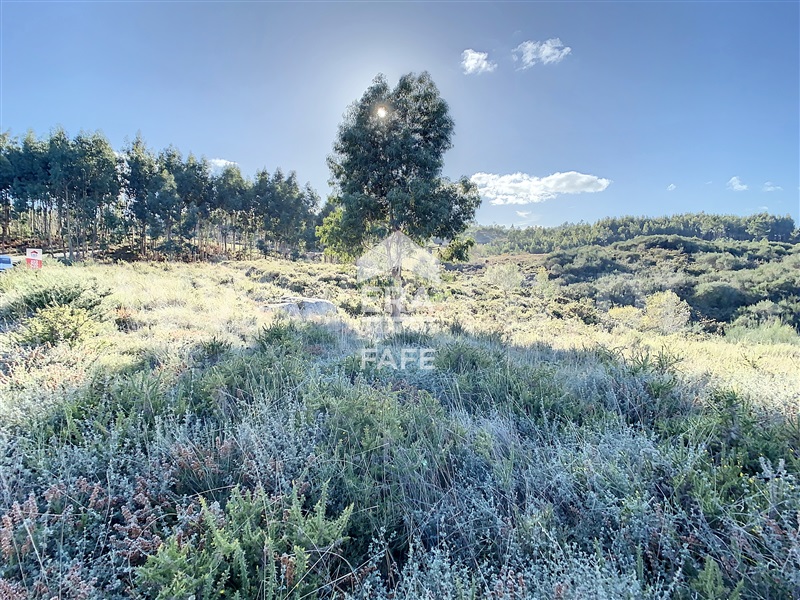 Terreno  Celorico de Basto, Vale de Bouro - 1367127 - 8