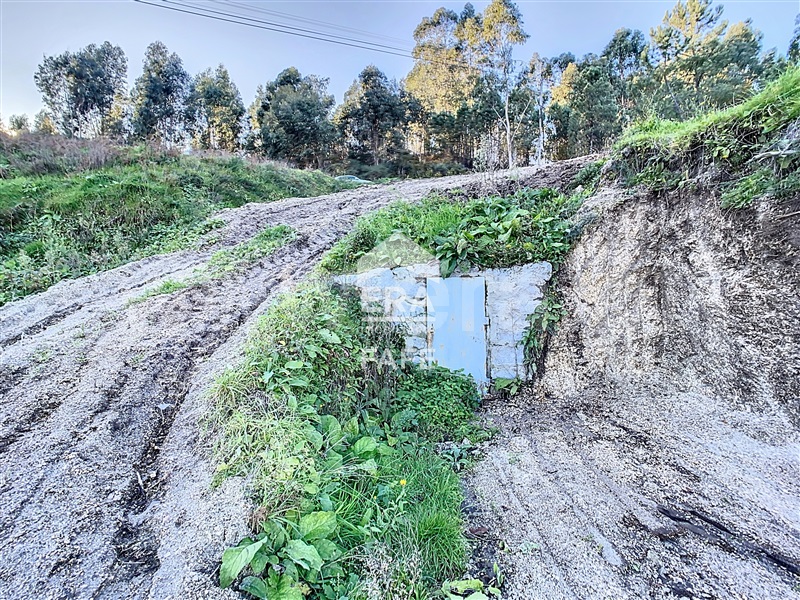 Terreno  Celorico de Basto, Basto (São Clemente) - 1454453 - 5