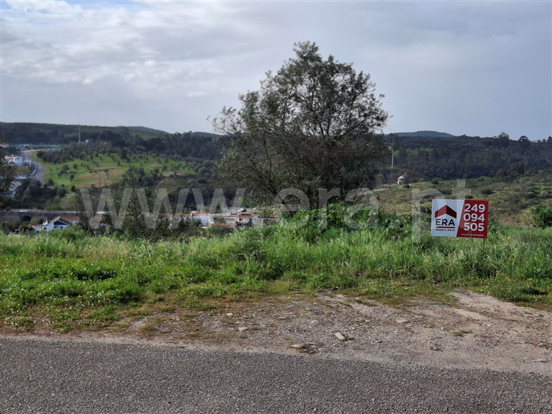 Terreno / Chamusca, Carregueira