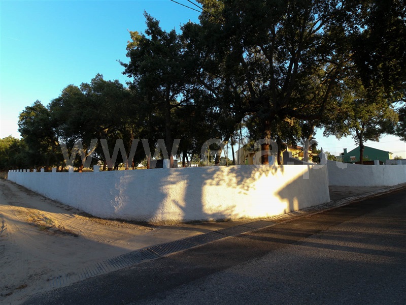 Terreno  Chamusca, Chamusca e Pinheiro Grande - 943937 - 4