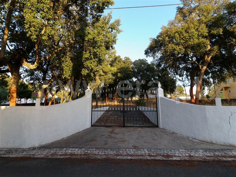 Terreno  Chamusca, Chamusca e Pinheiro Grande - 943937 - 1