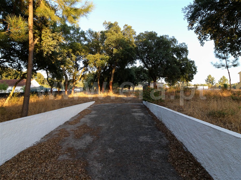 Terreno  Chamusca, Chamusca e Pinheiro Grande - 943937 - 2