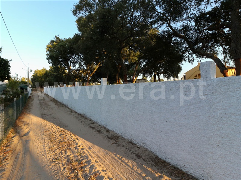 Terreno  Chamusca, Chamusca e Pinheiro Grande - 943937 - 5
