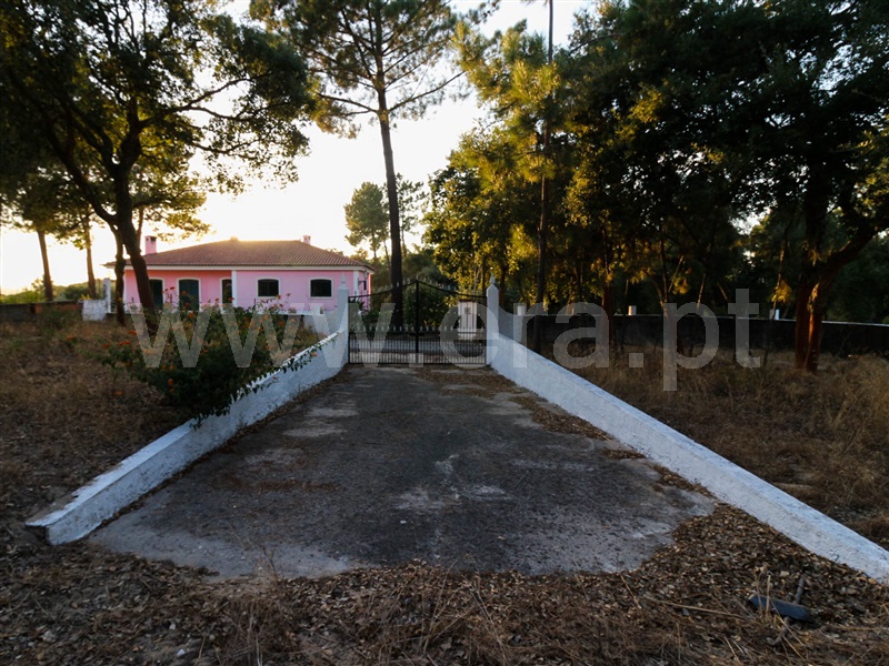 Terreno / Chamusca, Chamusca e Pinheiro Grande