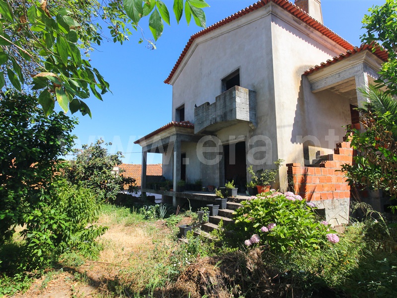 Terreno / Chamusca, Chamusca