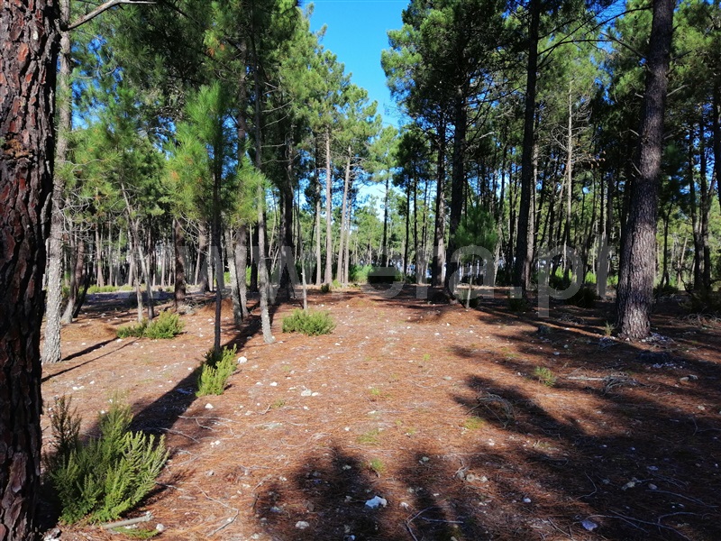 Terreno  Chaves, Bustelo - 1054484 - 3