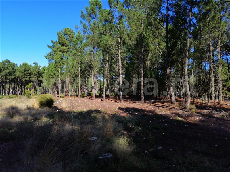 Terreno  Chaves, Bustelo - 1054484 - 4