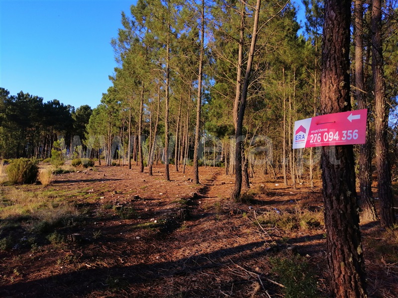 Terreno  Chaves, Bustelo - 1054484 - 2