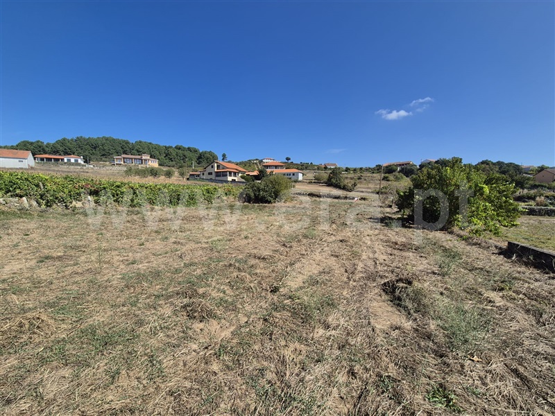 Terreno  Chaves, Eiras, São Julião de Montenegro e Cela - 1333548 - 5