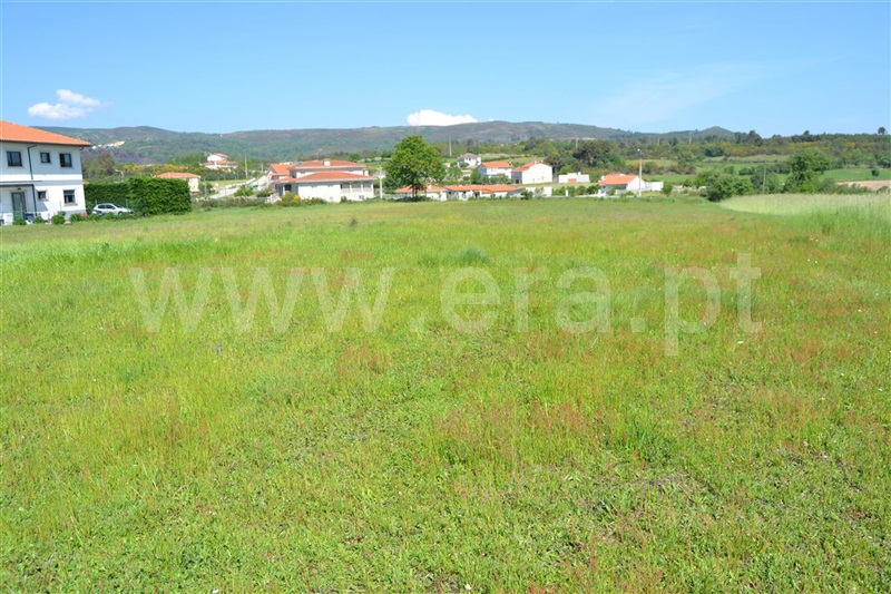 Terreno / Chaves, Ervededo