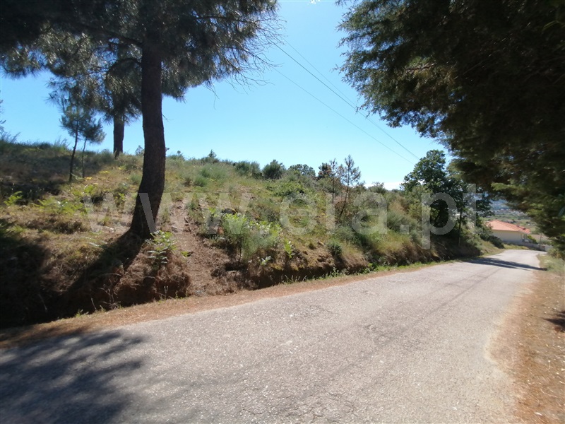 Terreno para Construção  Chaves, Madalena e Samaiões - 1022521 - 2
