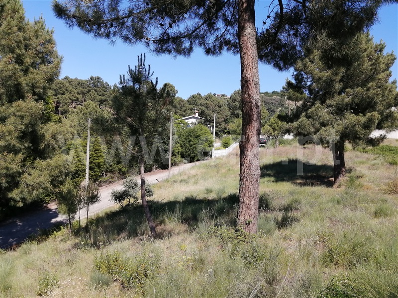 Terreno para Construção  Chaves, Madalena e Samaiões - 1022521 - 3
