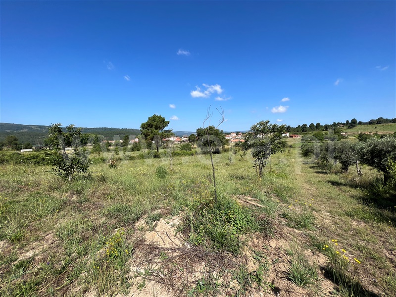 Terreno  Chaves, Oura - 1340282 - 3
