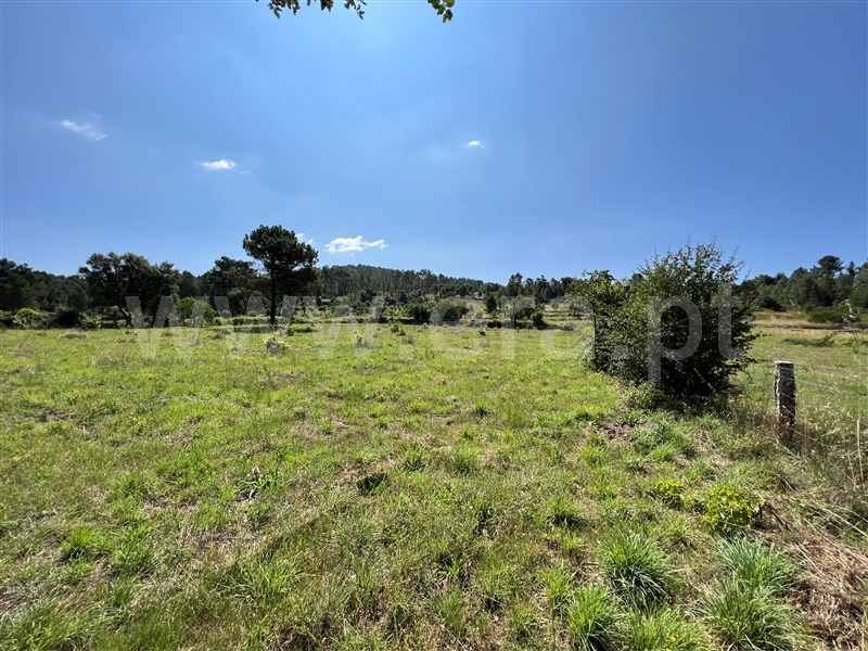Terreno  Chaves, Oura - 1340282 - 5