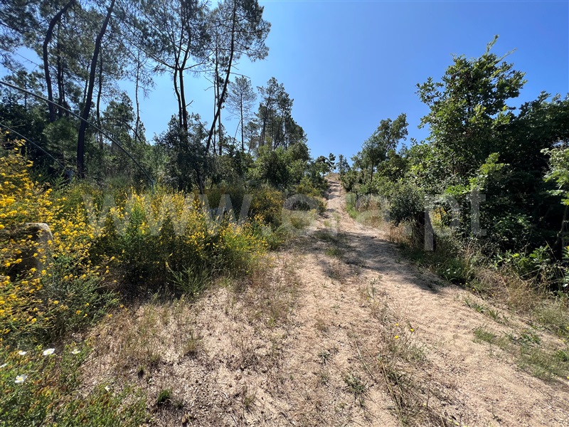 Terreno  Chaves, Oura - 1340282 - 12