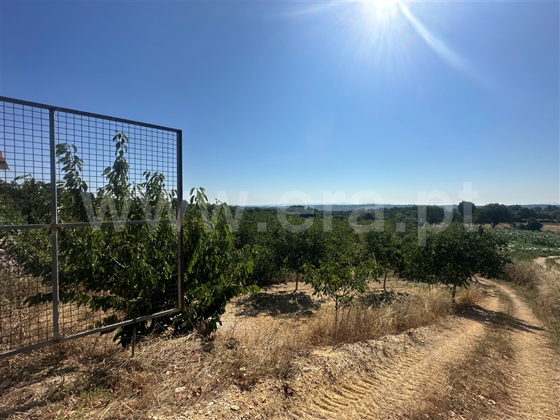 Terreno  com Agrícola Chaves, Planalto de Monforte (Oucidres e Bobadela) - 1358057 - 16