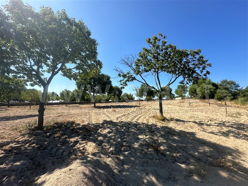 Terreno  com Agrícola Chaves, Planalto de Monforte (Oucidres e Bobadela) - 1358057 - 26