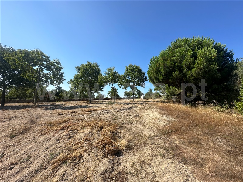 Terreno  com Agrícola Chaves, Planalto de Monforte (Oucidres e Bobadela) - 1358057 - 28