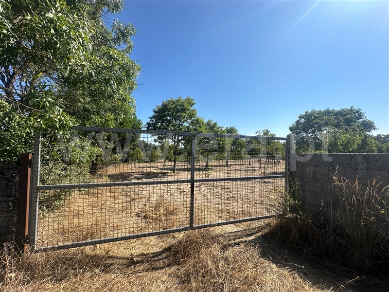 Terreno  com Agrícola Chaves, Planalto de Monforte (Oucidres e Bobadela) - 1358057 - 29