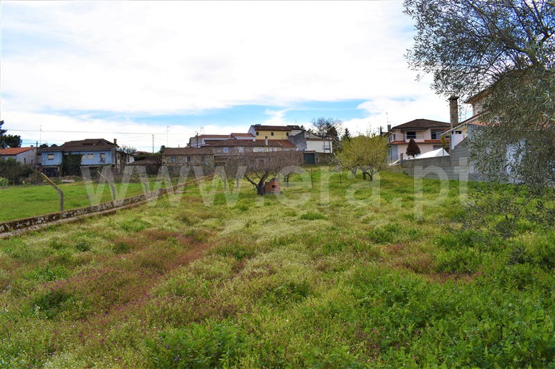 Terreno / Chaves, Santa Maria Maior