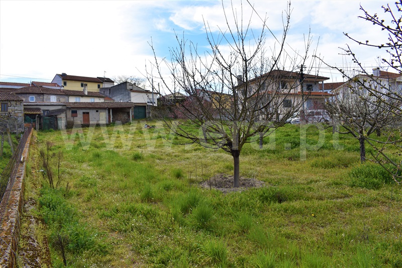 Terreno / Chaves, Santa Maria Maior