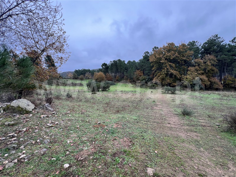 Terreno  Chaves, Santo Estêvão - 1514619 - 2