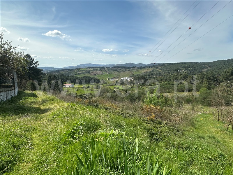 Terreno / Chaves, São Pedro de Agostém
