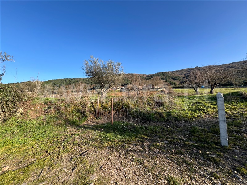 Terreno  Chaves, Vilar de Nantes - 1460313 - 5