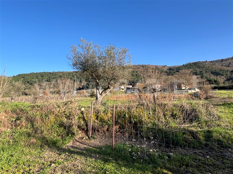 Terreno  Chaves, Vilar de Nantes - 1460313 - 7