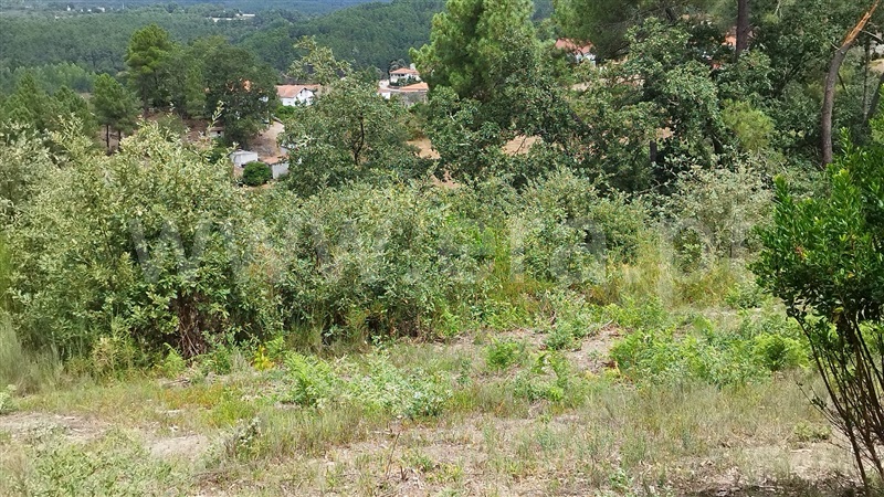 Terreno  Chaves, Vilela do Tâmega - 1348813 - 5
