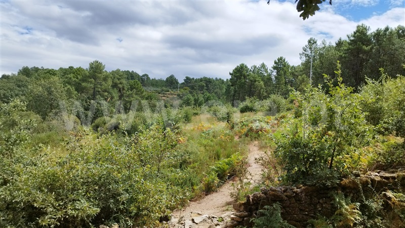Terreno  Chaves, Vilela do Tâmega - 1348813 - 6