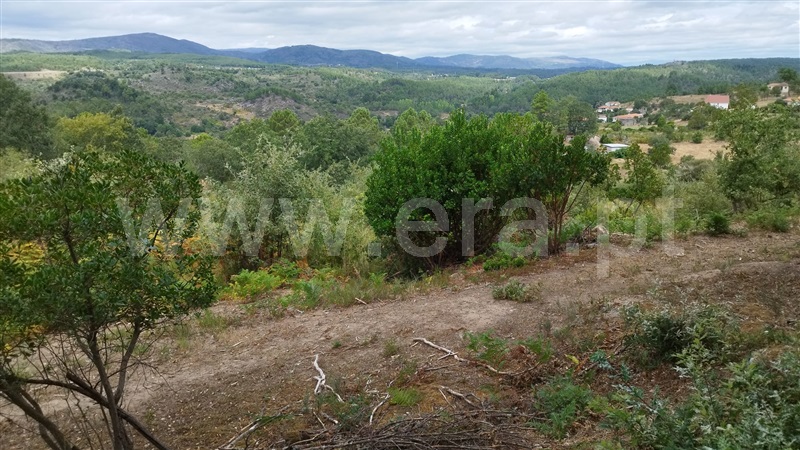 Terreno  Chaves, Vilela do Tâmega - 1348813 - 7
