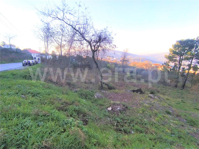 Terreno / Cinfães, Cinfães