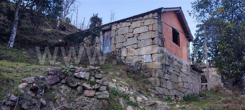 Terreno / Cinfães, Cinfães
