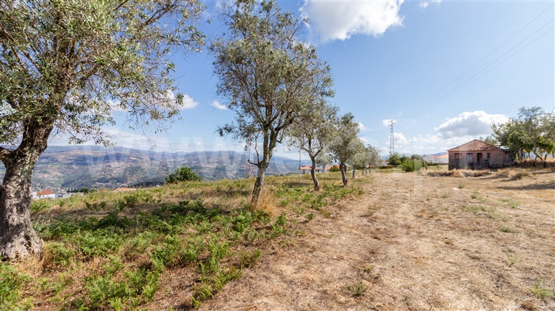 Terreno  Cinfães - 1507442 - 3