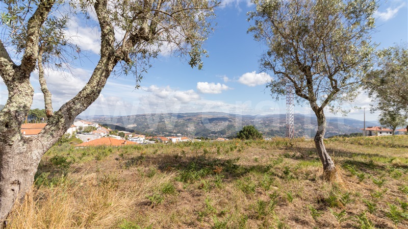 Terreno  Cinfães - 1507442 - 5