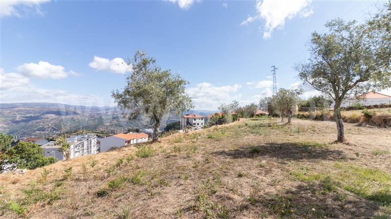 Terreno  Cinfães - 1507442 - 7