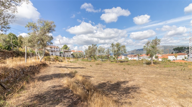 Terreno  Cinfães - 1507442 - 8