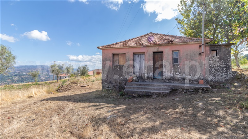 Terreno / Cinfães, Cinfães