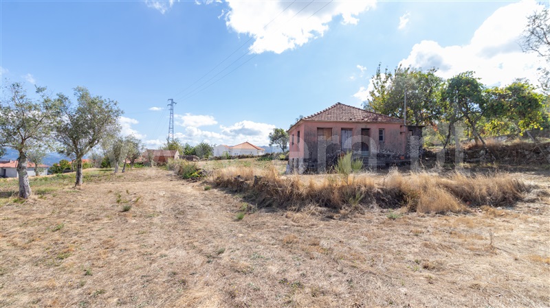 Terreno  Cinfães - 1507442 - 13